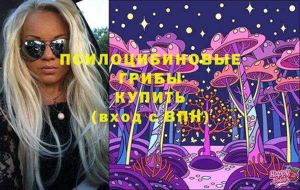 стаф Дмитровск