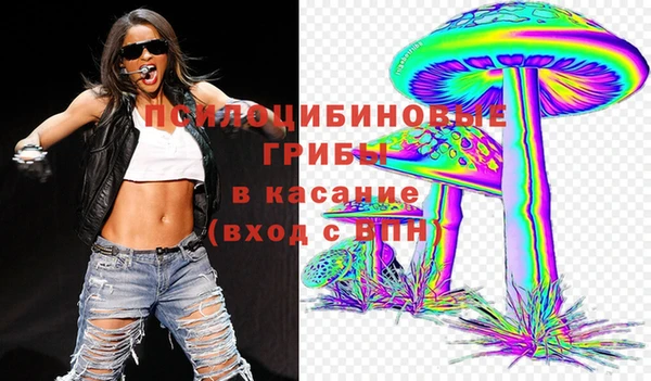 винт Ельня