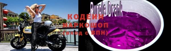 СК Елизово