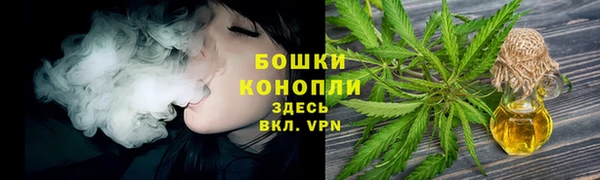 винт Ельня