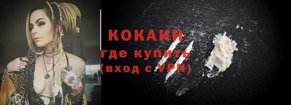 винт Ельня