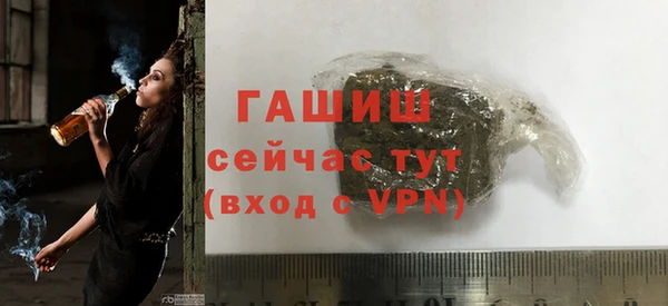 СК Елизово