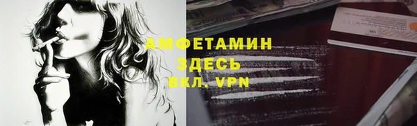 СК Елизово