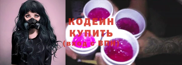 СК Елизово