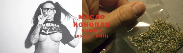 винт Ельня