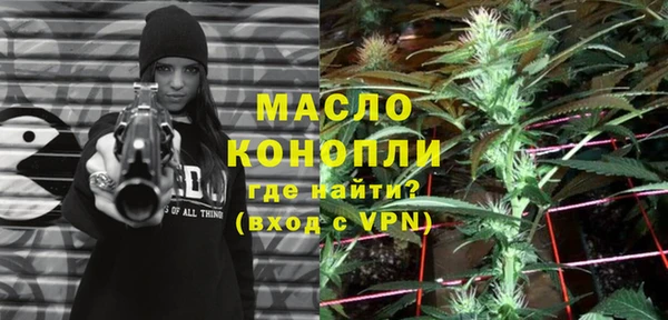 СК Елизово