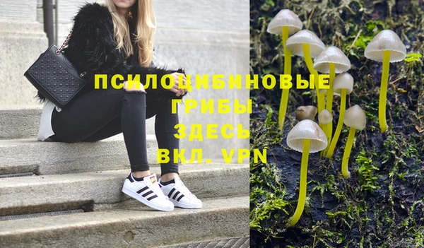 СК Елизово