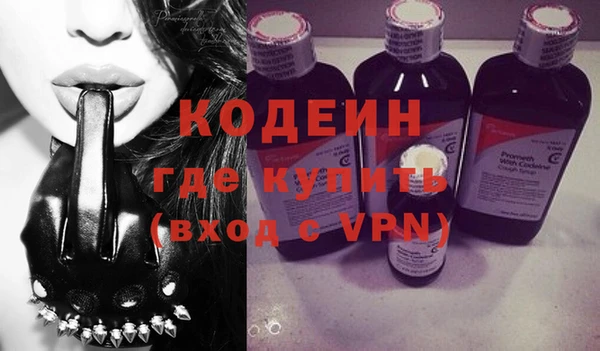 СК Елизово
