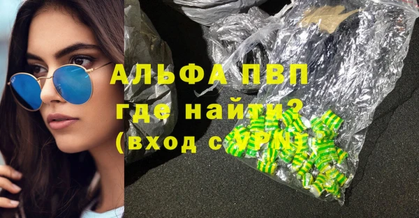 винт Ельня