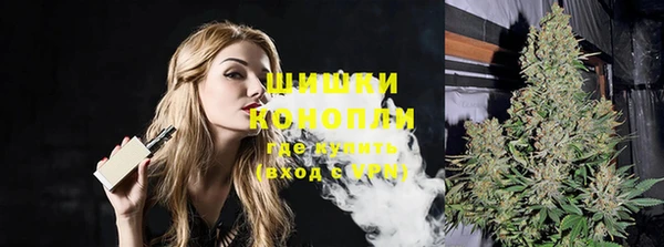 СК Елизово