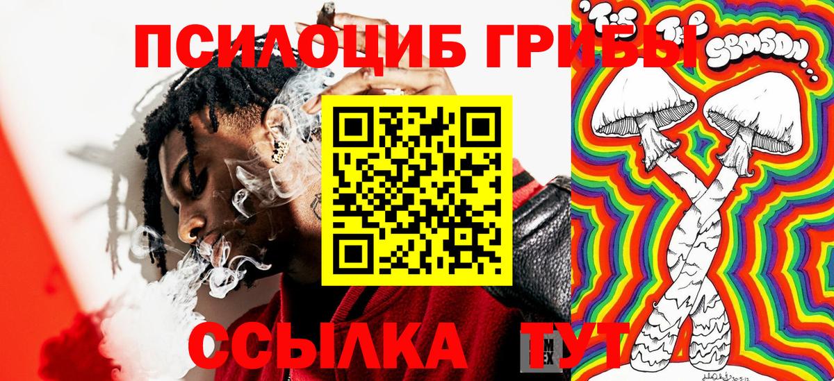 Псилоцибиновые грибы прущие грибы Зеленогорск