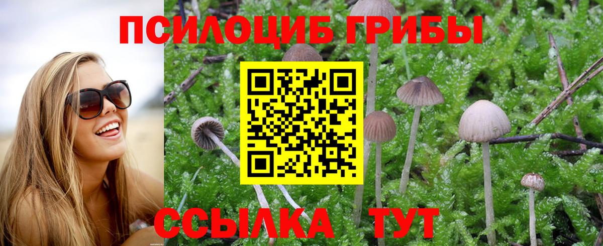 Псилоцибиновые грибы прущие грибы  Вход с VPN  Зеленогорск 