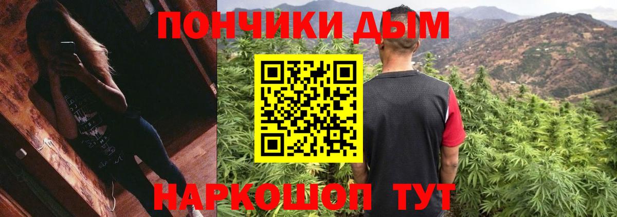 Бошки Шишки гибрид  Бошки марихуана гибрид  Бошки марихуана сатива  Зеленогорск  Каннабис индика 