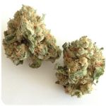 Шишки "White Widow"  (Белая вдова)  Гидропоника -  Бошка VHQ в Зеленогорске