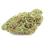 Шишки OG Kush  (Гидропоника, бошки) VHQ в Зеленогорске
